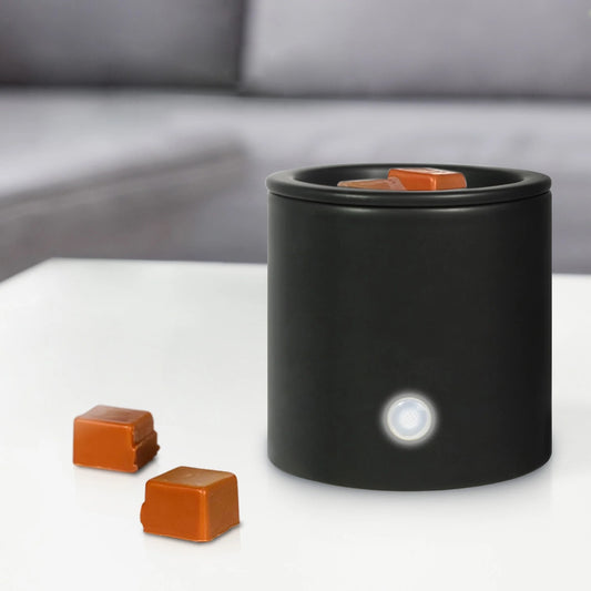 Wax Warmer/ Wax Melter